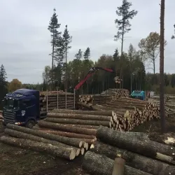 WhatsApp-Image-2023-11-07-at-14.41.31-3