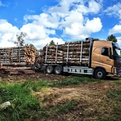 meza-izvedejs-sia-kerss-lv